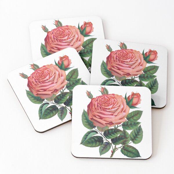 Item preview, Pink rose, Glorie de Dijon lithograph designed and sold by JJAarts.