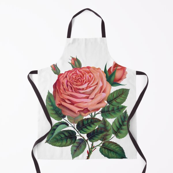 Item preview, Pink rose, Glorie de Dijon lithograph designed and sold by JJAarts.