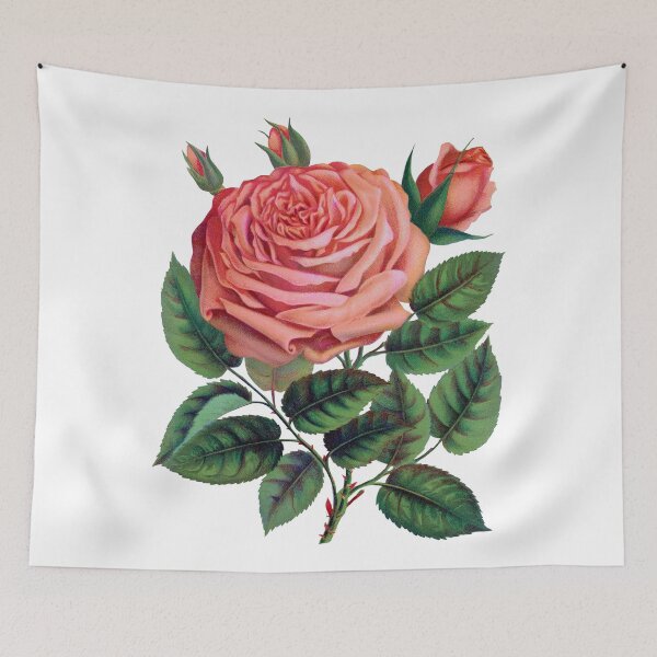 Item preview, Pink rose, Glorie de Dijon lithograph designed and sold by JJAarts.