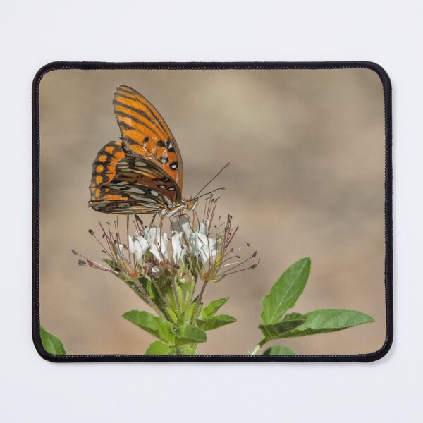 Item preview, Worn Fritillary designed and sold by Tom Talbott.