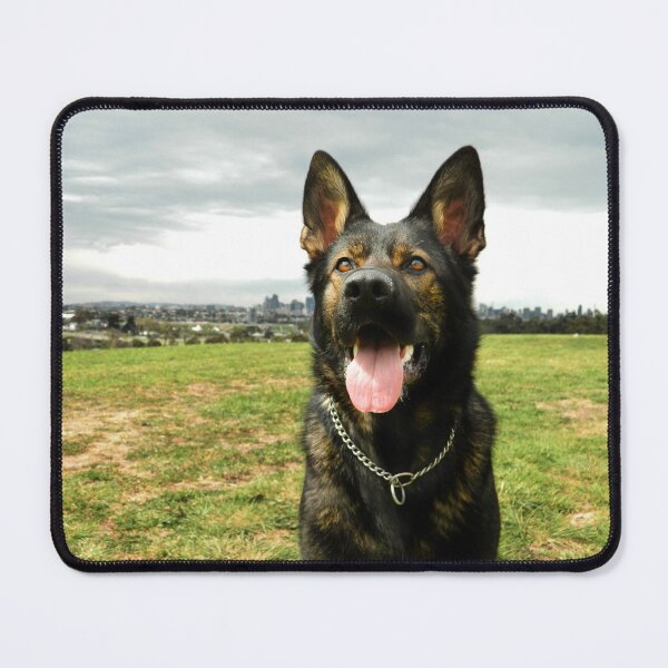 Item preview, Sable German Shepherd designed and sold by Abbysinthe.