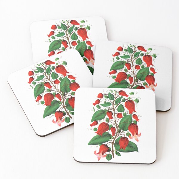 Item preview, Red flower, Clematis Coccinea lithograph designed and sold by JJAarts.