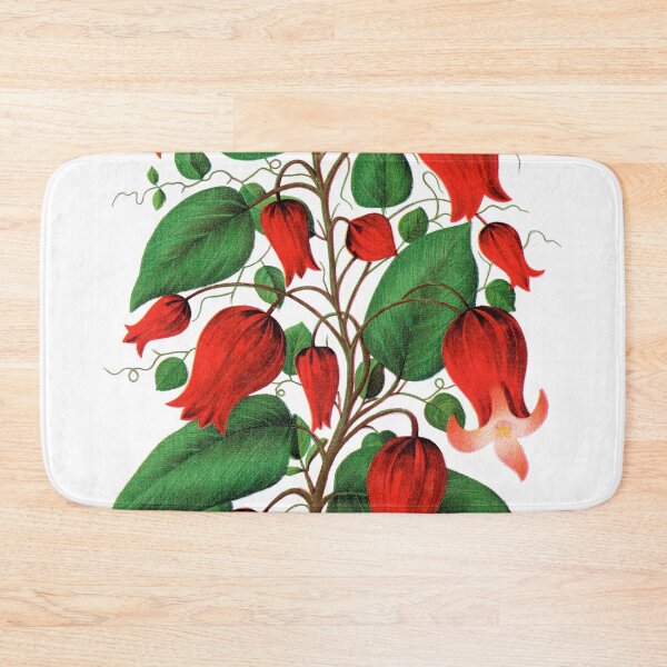 Item preview, Red flower, Clematis Coccinea lithograph designed and sold by JJAarts.