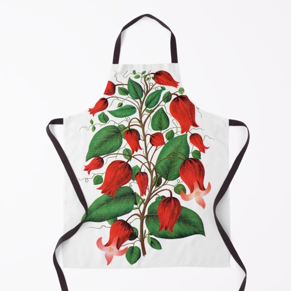 Item preview, Red flower, Clematis Coccinea lithograph designed and sold by JJAarts.