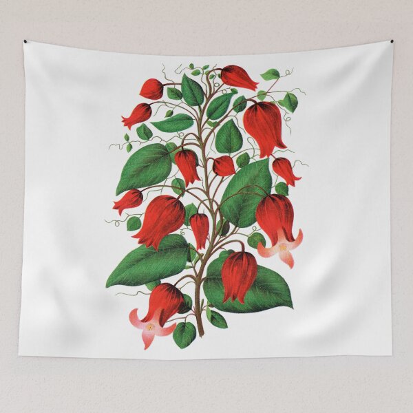 Item preview, Red flower, Clematis Coccinea lithograph designed and sold by JJAarts.