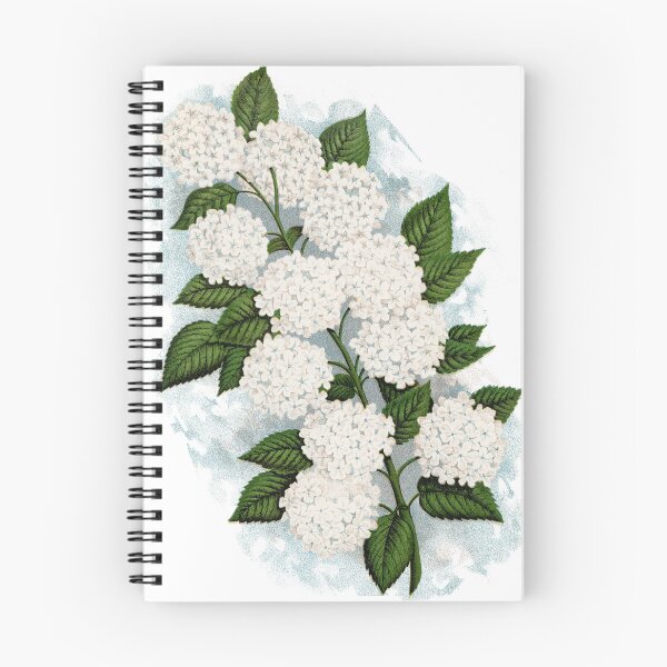 Item preview, Japanese snowball flower lithograph designed and sold by JJAarts.