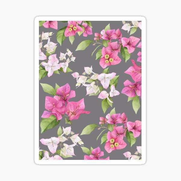 Seamless floral pattern with pink bougainvillea flower on climbing