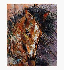 Shōgun Colt Photographic Print