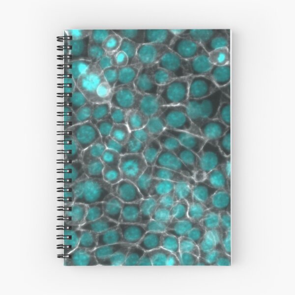 Item preview, Under the microscope designed and sold by ArtByScience.
