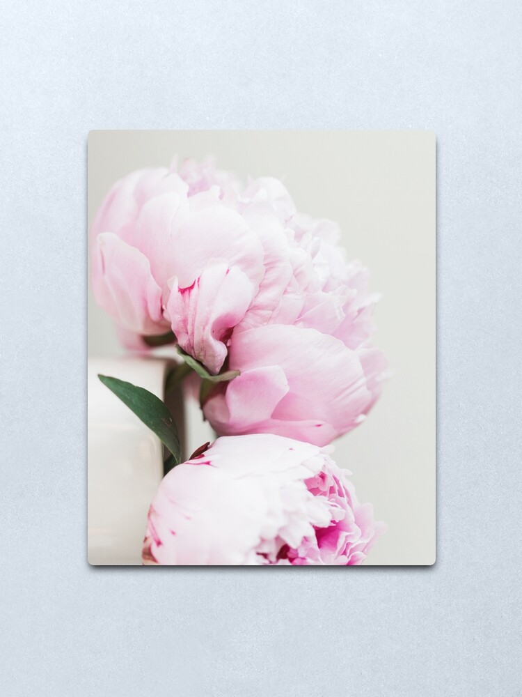 pint Peony Peonies Flower Art Print Poster Canvas Scandi Blush Black White