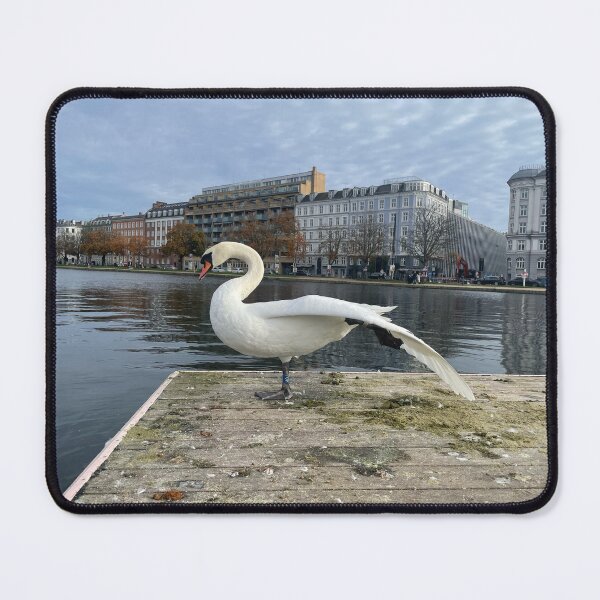 Item preview, Swan • Stretch • October • The Lakes, Copenhagen  designed and sold by Mortinus.