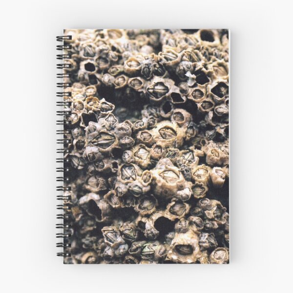 Item preview, Barnacles designed and sold by rfmdesigns.