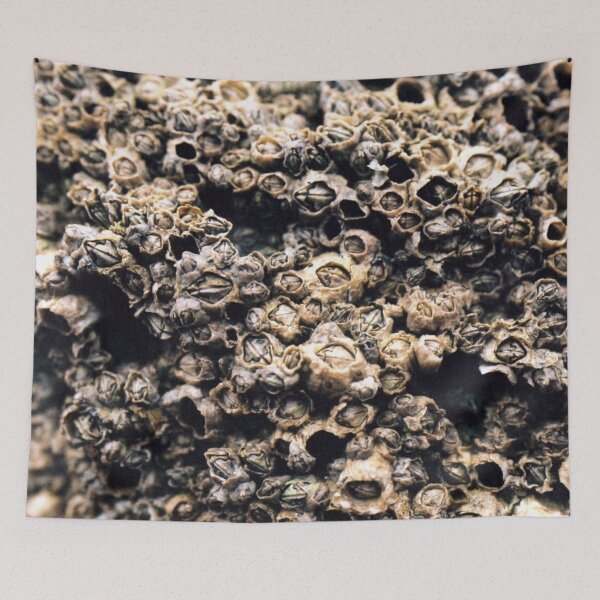 Item preview, Barnacles designed and sold by rfmdesigns.