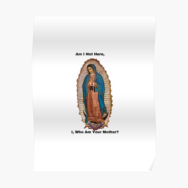 Our Lady Of Guadalupe Poster For Sale By Fotodream Redbubble 