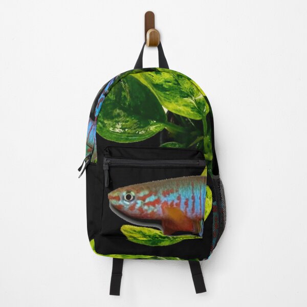 Item preview, Bualanum and gold anubias plant designed and sold by killies.