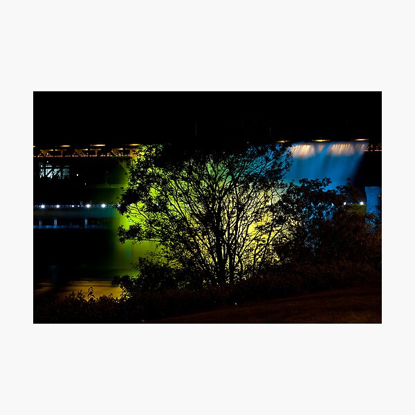 Golden Backdrop Photographic Print