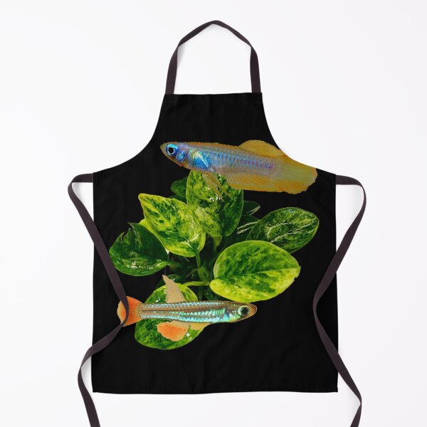Item preview, Lampeyes and Gold Anubias Plant designed and sold by killies.