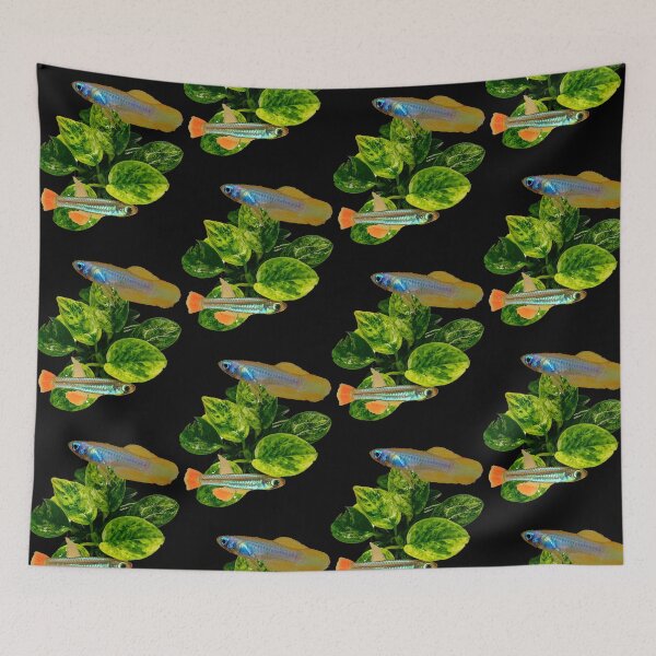 Item preview, Lampeyes and Gold Anubias Plant designed and sold by killies.