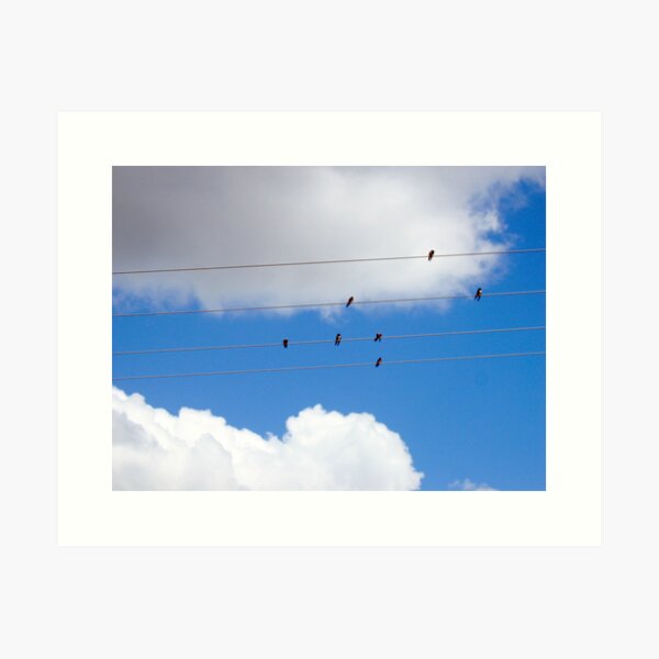 Birds on a Wire Art Print