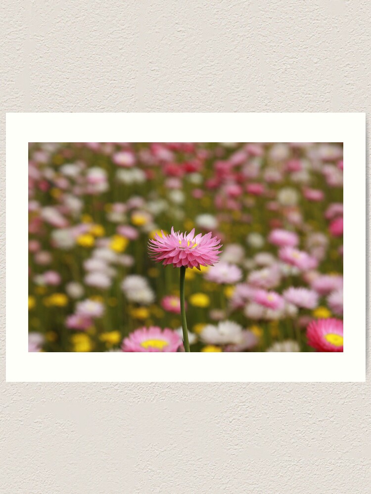 Alternate view of Standing out from the crowd Art Print
