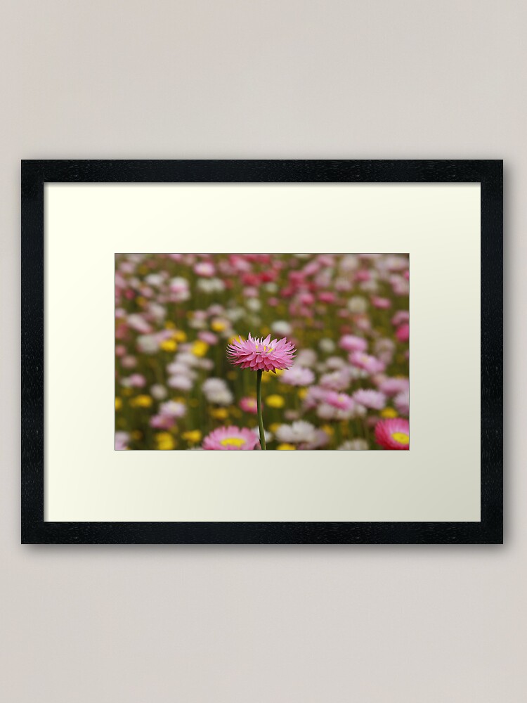 Alternate view of Standing out from the crowd Framed Art Print