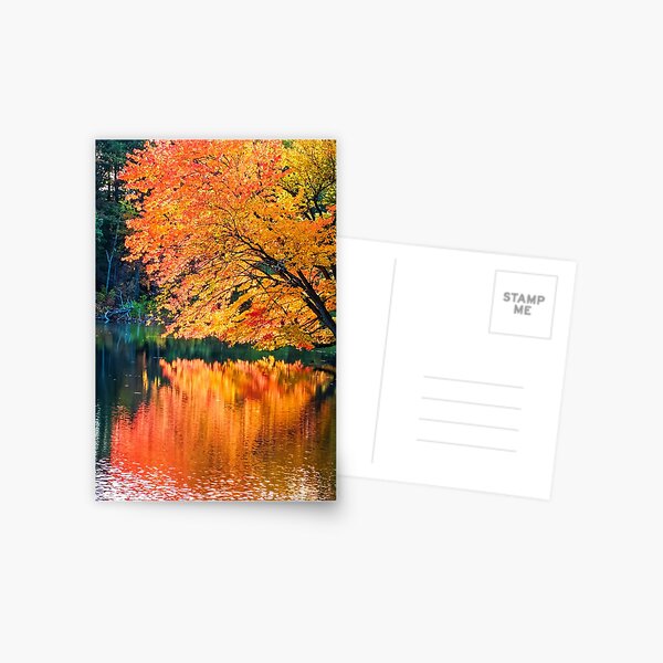 Item preview, The Magic of Autumn in New England designed and sold by Photo Art By Anita.