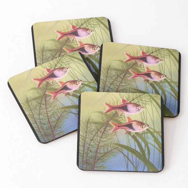 Item preview, Rasboras from Innes Book designed and sold by killies.
