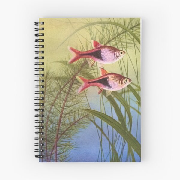 Item preview, Rasboras from Innes Book designed and sold by killies.