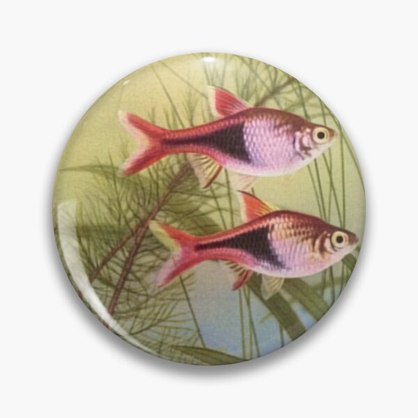 Item preview, Rasboras from Innes Book designed and sold by killies.