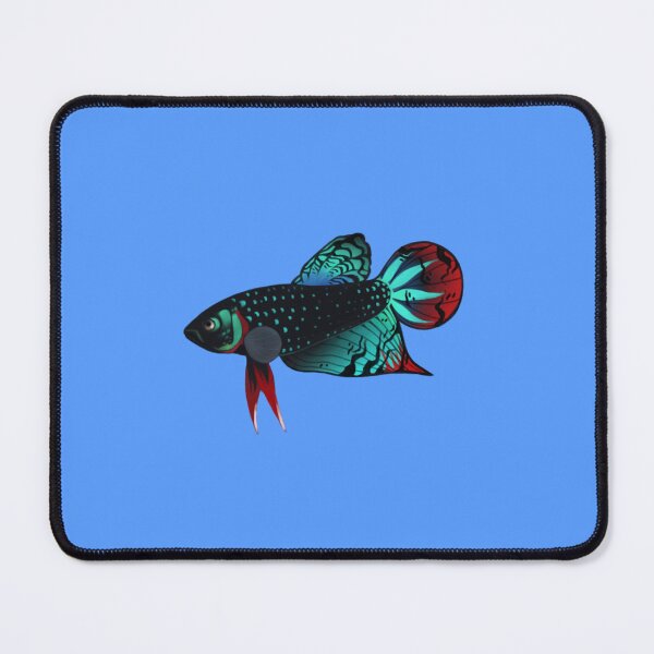 Item preview, Wild Type Fighting Siamese Betta Fish Art designed and sold by killies.
