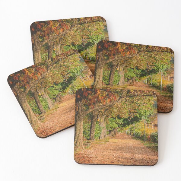 Item preview, Autumn Park, Path To Bolzano Italy designed and sold by Anuchartl.