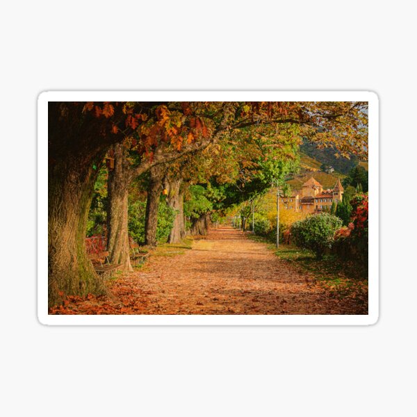 Item preview, Autumn Park, Path To Bolzano Italy designed and sold by Anuchartl.