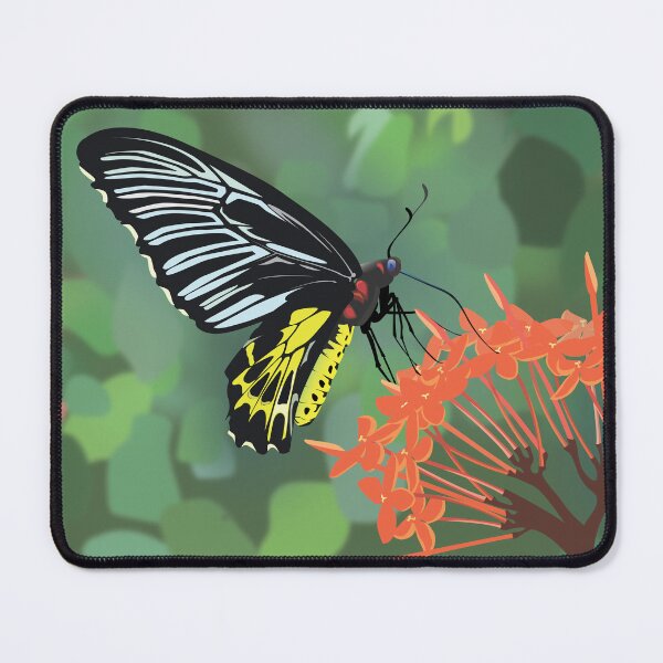Item preview,  Southern birdwing butterfly designed and sold by Krishna Art.