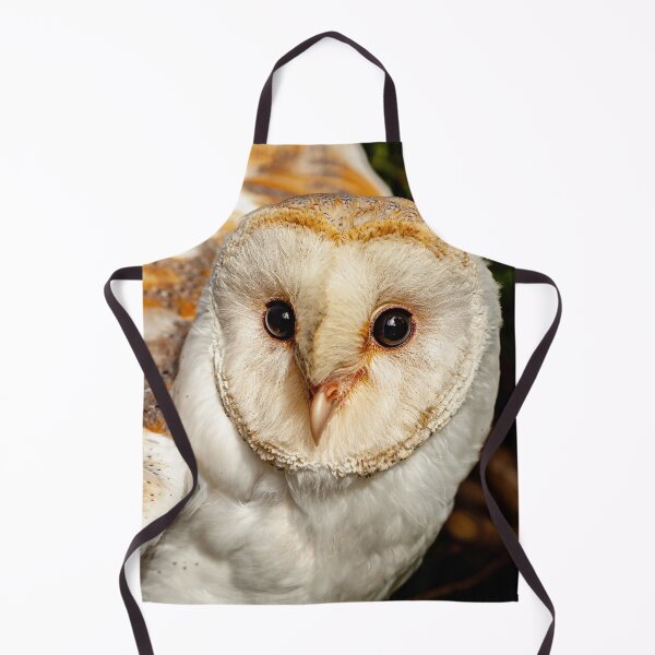 Item preview, Barn owl face designed and sold by Dalyndigital Photography.