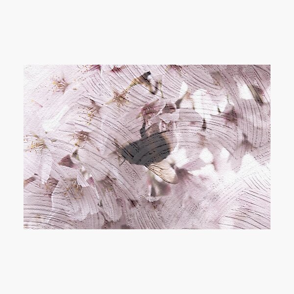 Item preview,  A bee resting on cherry blossoms. designed and sold by PrincessAthena.
