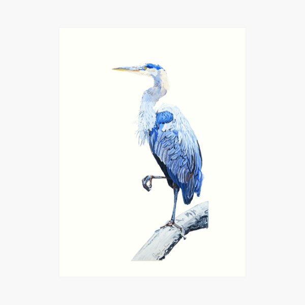 Heron No.5 Art Print