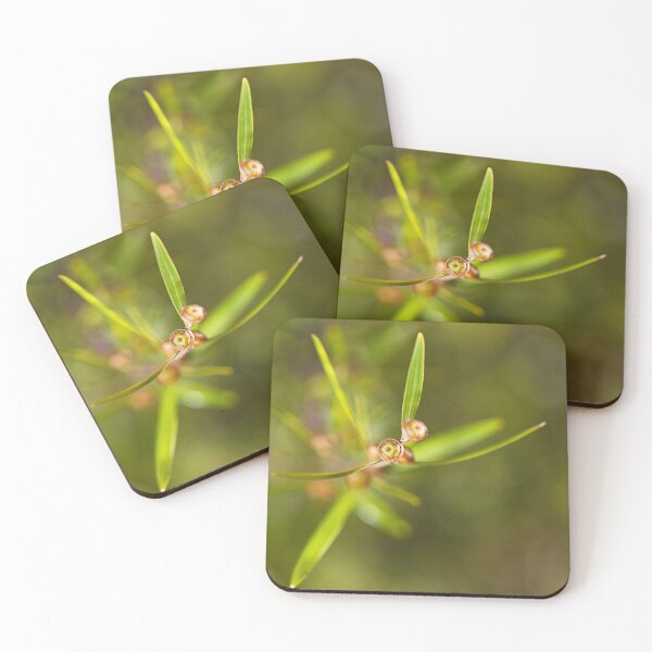 Item preview, Coastal Tea Tree Buds Small designed and sold by Joy Watson - Natural Light Photography .