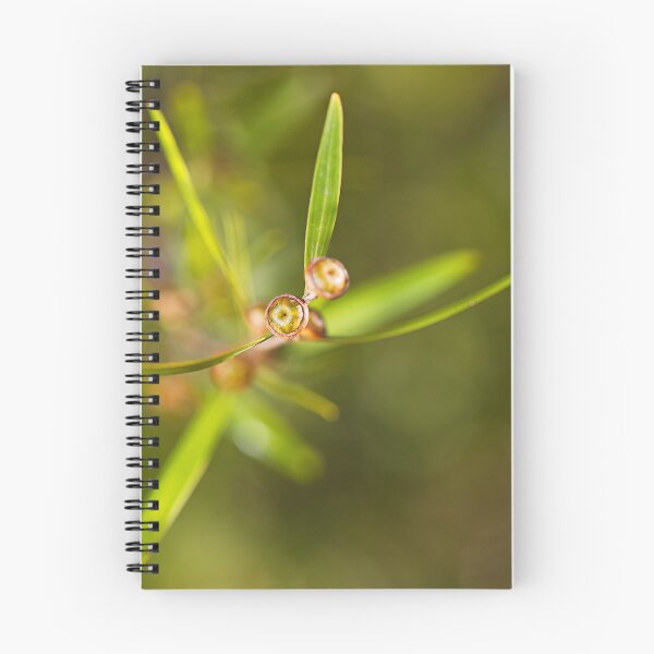 Item preview, Coastal Tea Tree Buds Small designed and sold by Joy Watson - Natural Light Photography .