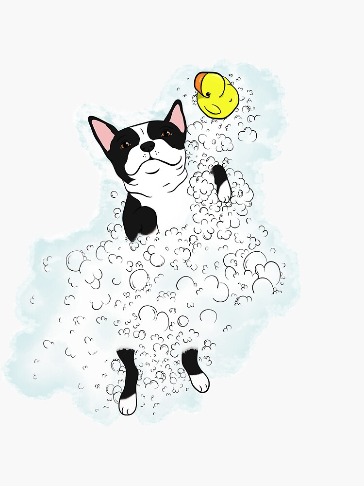 "B&W Bubble Bath Boston Terrier" Sticker for Sale by craftyk9 Redbubble