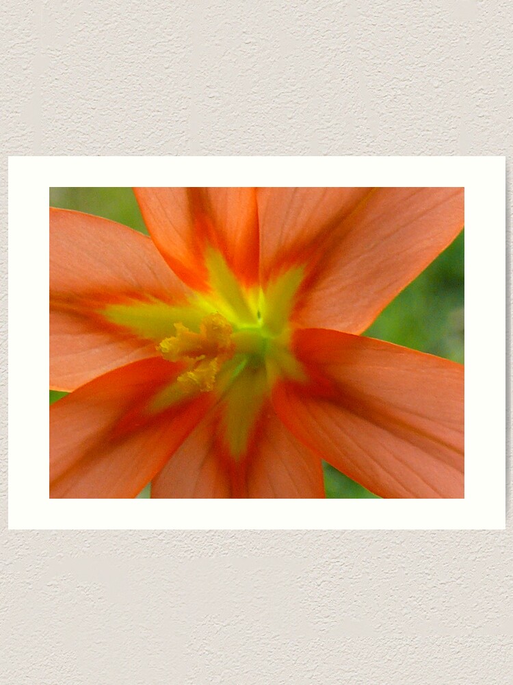 Alternate view of Untitled Art Print