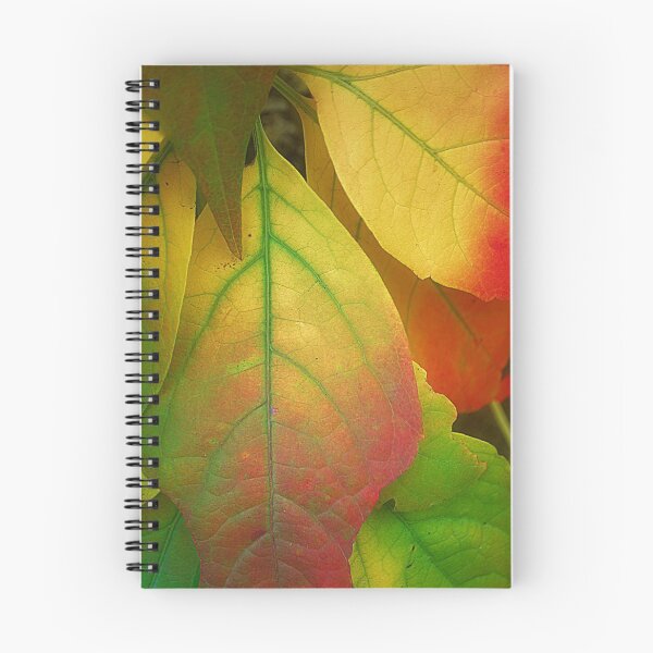 Item preview, A song For Autumn designed and sold by Christine Lake.