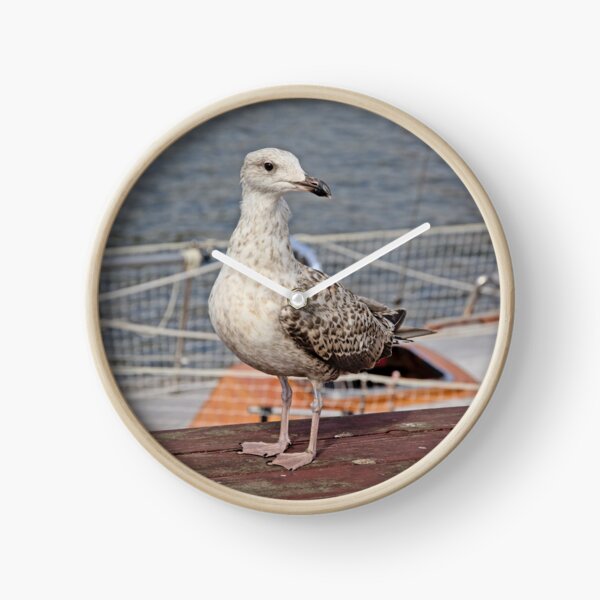 Seagull sitting on a sailboat Clock