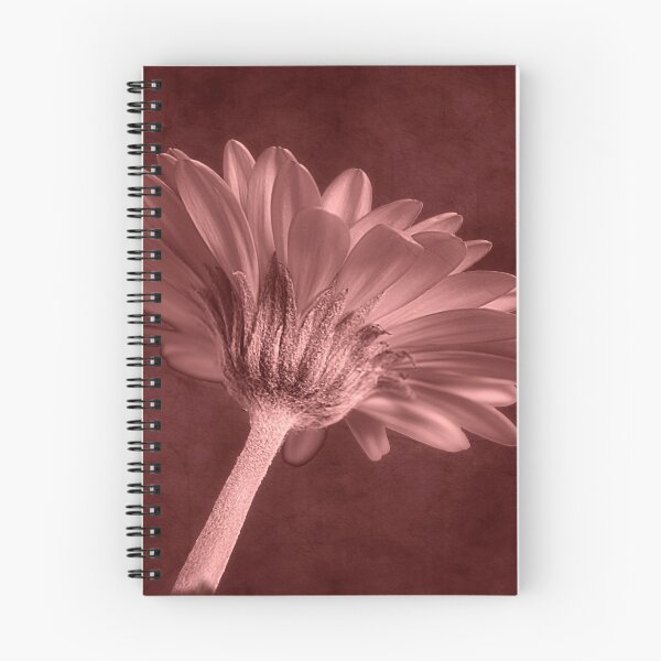 Item preview, Sobriety  designed and sold by Christine Lake.