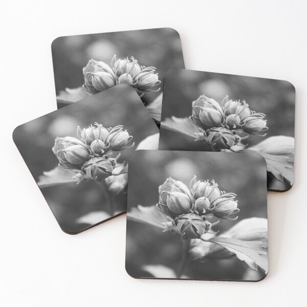 Item preview, Purple Flower Bud Black and White designed and sold by Lydia Planalp.