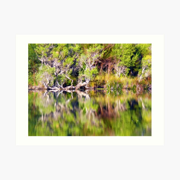 Untitled Art Print