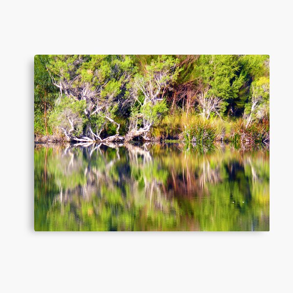 Untitled Canvas Print