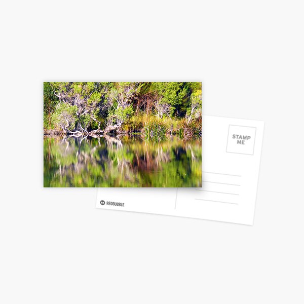 Untitled Postcard