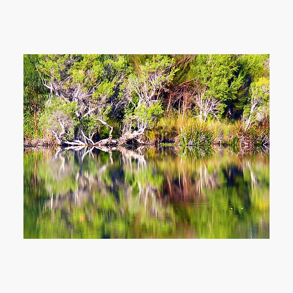 Untitled Photographic Print