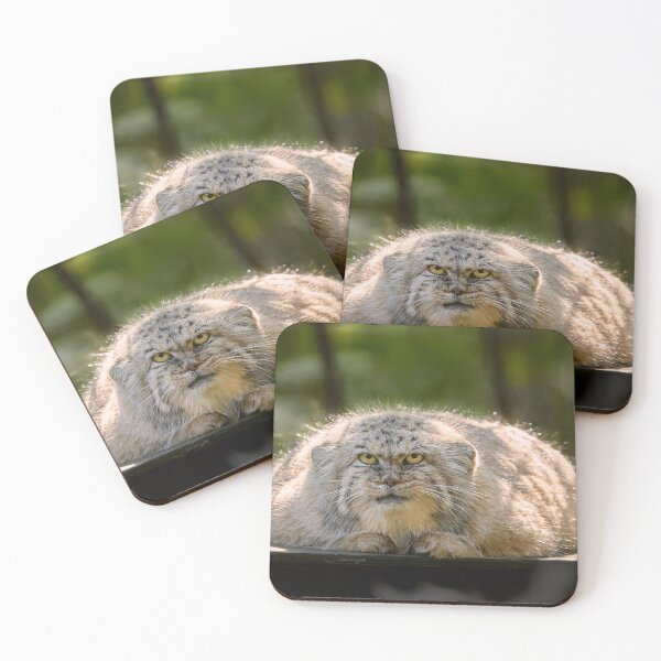 Item preview, Calypso the Pallas's cat designed and sold by Manulization.
