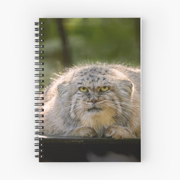 Item preview, Calypso the Pallas's cat designed and sold by Manulization.